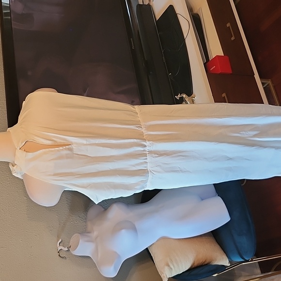 Pretty Garden White Mock Neck Dress w/Assymetrical sleeveless sleeves, NWT XXL - Picture 7 of 13